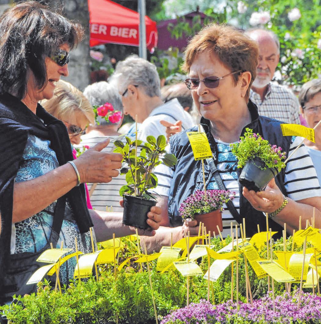 Auch andere schöne und nützliche Gartenpflanzen sind im Angebot. Auch andere schöne und nützliche Gartenpflanzen sind im Angebot.