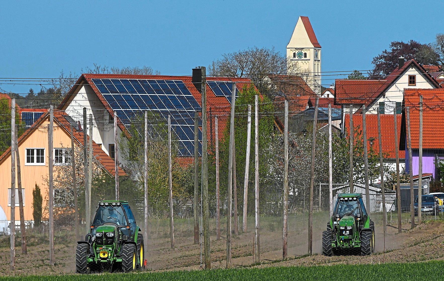 Bei Hohenried kündigen die ersten Hopfengärten die Hallertau an. Fotos: M. Schalk Bei Hohenried kündigen die ersten Hopfengärten die Hallertau an. Fotos: M. Schalk