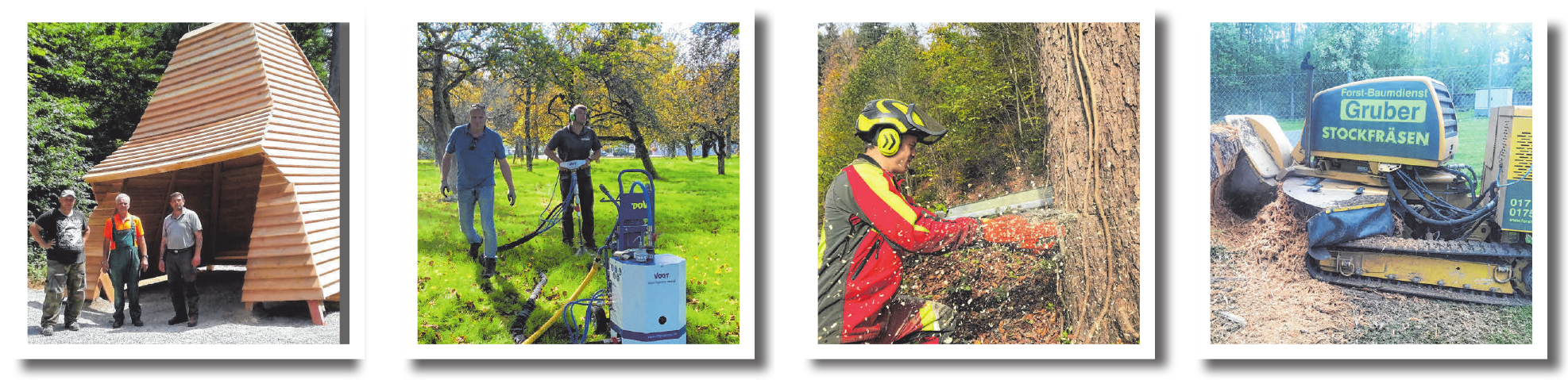 Im Einsatz für Wald und Holz Image 2 Im Einsatz für Wald und Holz Image 2