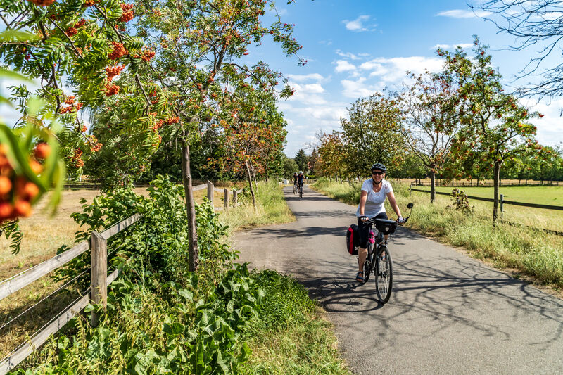 Weit über die Grenzen Sachsens hinaus bekannt: die Obstland-Route © Szymon Nitka / Leipzig Travel