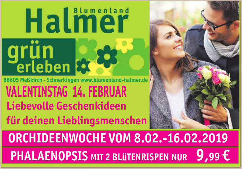 Blumenland Halmer Blumenland Halmer