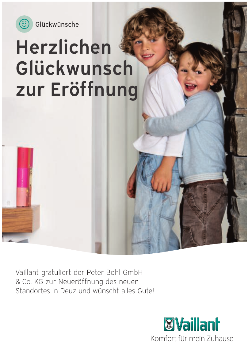 Vaillant Vaillant