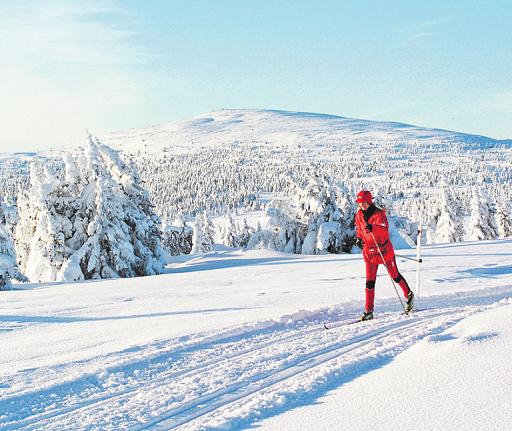 Skilanglauf ist eine idealer Gesundheitssport. Foto: HIS e. V.