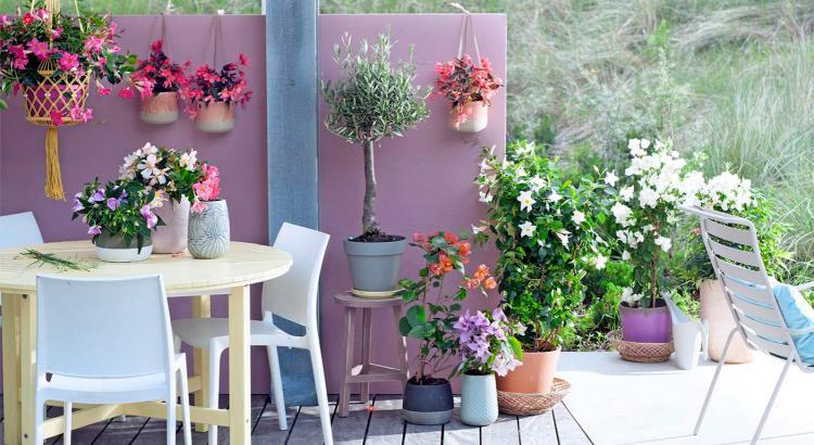 Moderne Möbel, Farben und Blumen machen den Sitzplatz im Freien zum Sommerwohnzimmer für die ganze Familie. Moderne Möbel, Farben und Blumen machen den Sitzplatz im Freien zum Sommerwohnzimmer für die ganze Familie.