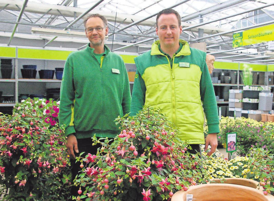 Achim Klipphahn (rechts) und Mitarbeiter Matthias Uchtmann bei den Sommer-Stämmchen. Achim Klipphahn (rechts) und Mitarbeiter Matthias Uchtmann bei den Sommer-Stämmchen.