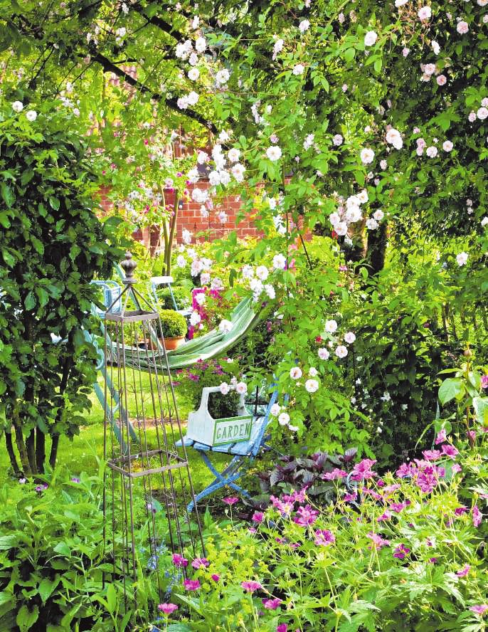Ramblerrosen sind die heimlichen Protagonisten des Cottage- Gartens. Sie klettern in Obstbäume und bringen seine Äste zum Blühen. Ramblerrosen sind die heimlichen Protagonisten des Cottage- Gartens. Sie klettern in Obstbäume und bringen seine Äste zum Blühen.