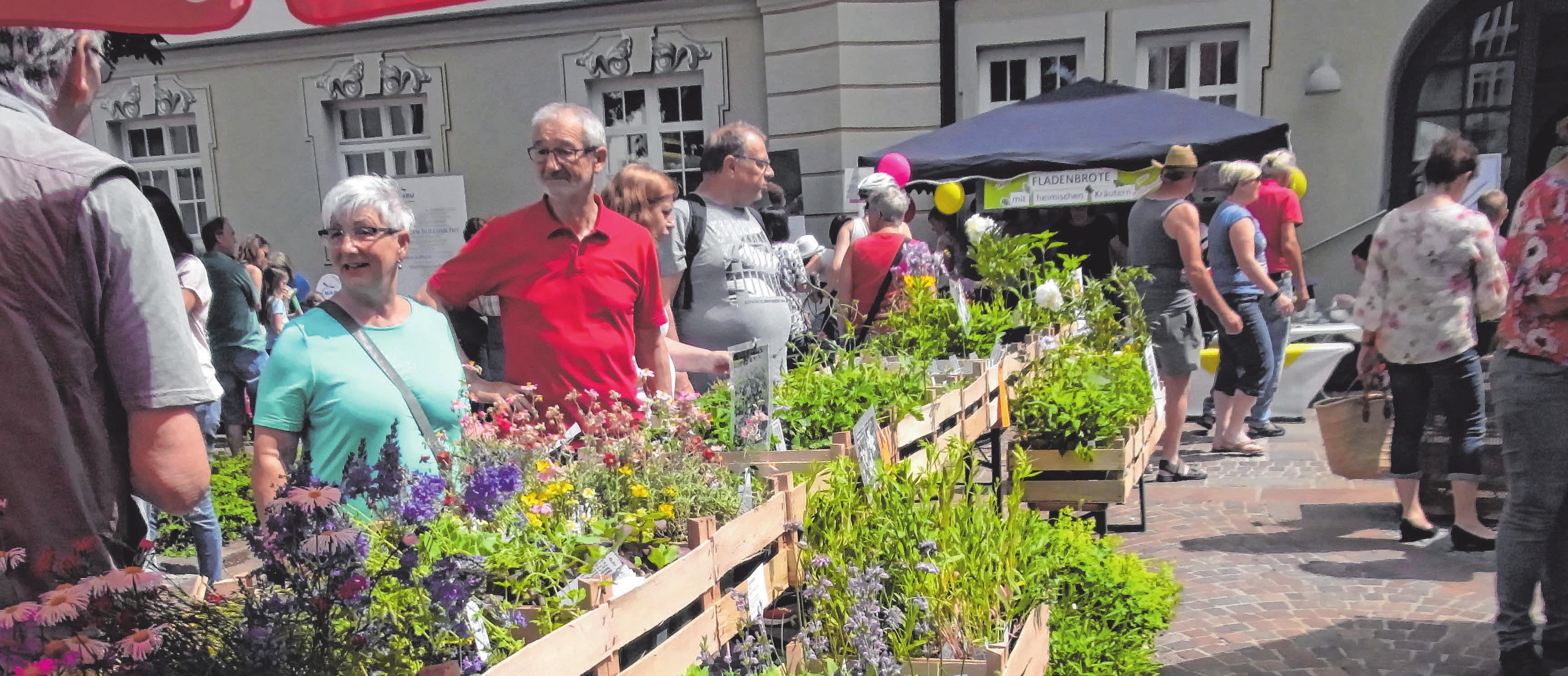 Auch ein nettes Gespräch ist möglich – auch am neuen Standort im Konventgarten. FOTO: PRIVAT Auch ein nettes Gespräch ist möglich – auch am neuen Standort im Konventgarten. FOTO: PRIVAT