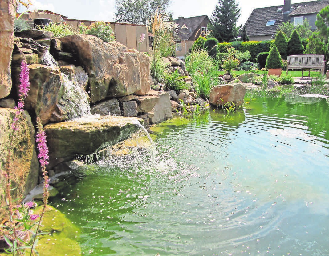 Wer im Sommer einen Gartenteich haben möchte, sollte jetzt mit der Planung beginnen. Wer im Sommer einen Gartenteich haben möchte, sollte jetzt mit der Planung beginnen.