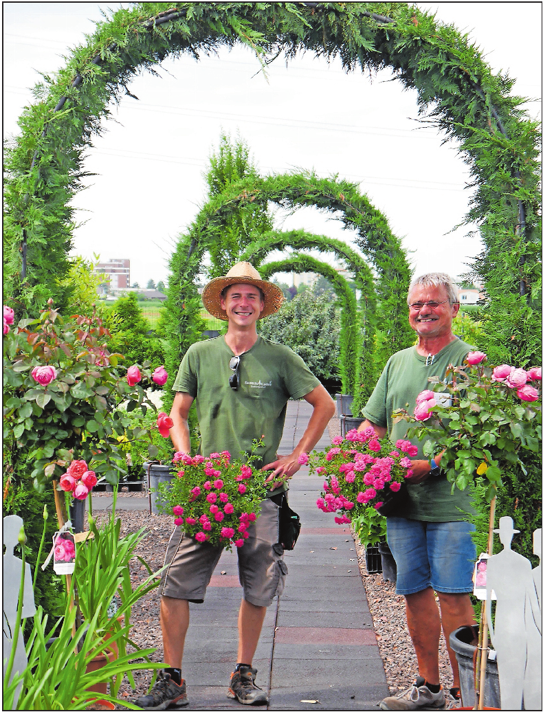 Keine Rose ohne Stacheln: Gärtner Gert Bach (rechts) und Auszubildender Philip Graf präsentieren Buschrosen mit dem Namen „Knirps“, die für Halbschatten geeignet sind. FOTO: BRÄUNLING Keine Rose ohne Stacheln: Gärtner Gert Bach (rechts) und Auszubildender Philip Graf präsentieren Buschrosen mit dem Namen „Knirps“, die für Halbschatten geeignet sind. FOTO: BRÄUNLING
