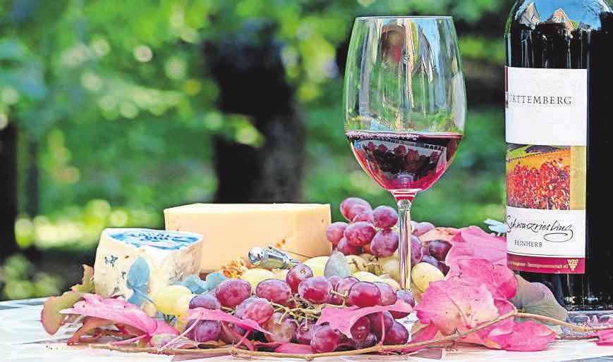 Sitzen wie im eigenen Garten - Hannover Region Nord - Hannoversche Zeitung