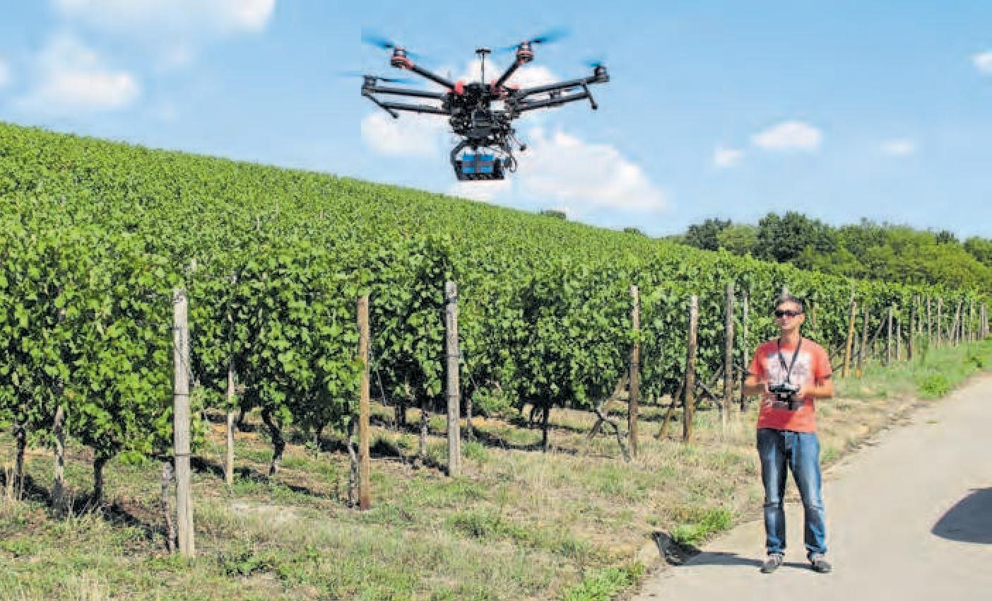Drohnen können in Zukunft etwa zur Erkennung von Rebkrankheiten eingesetzt werden.
