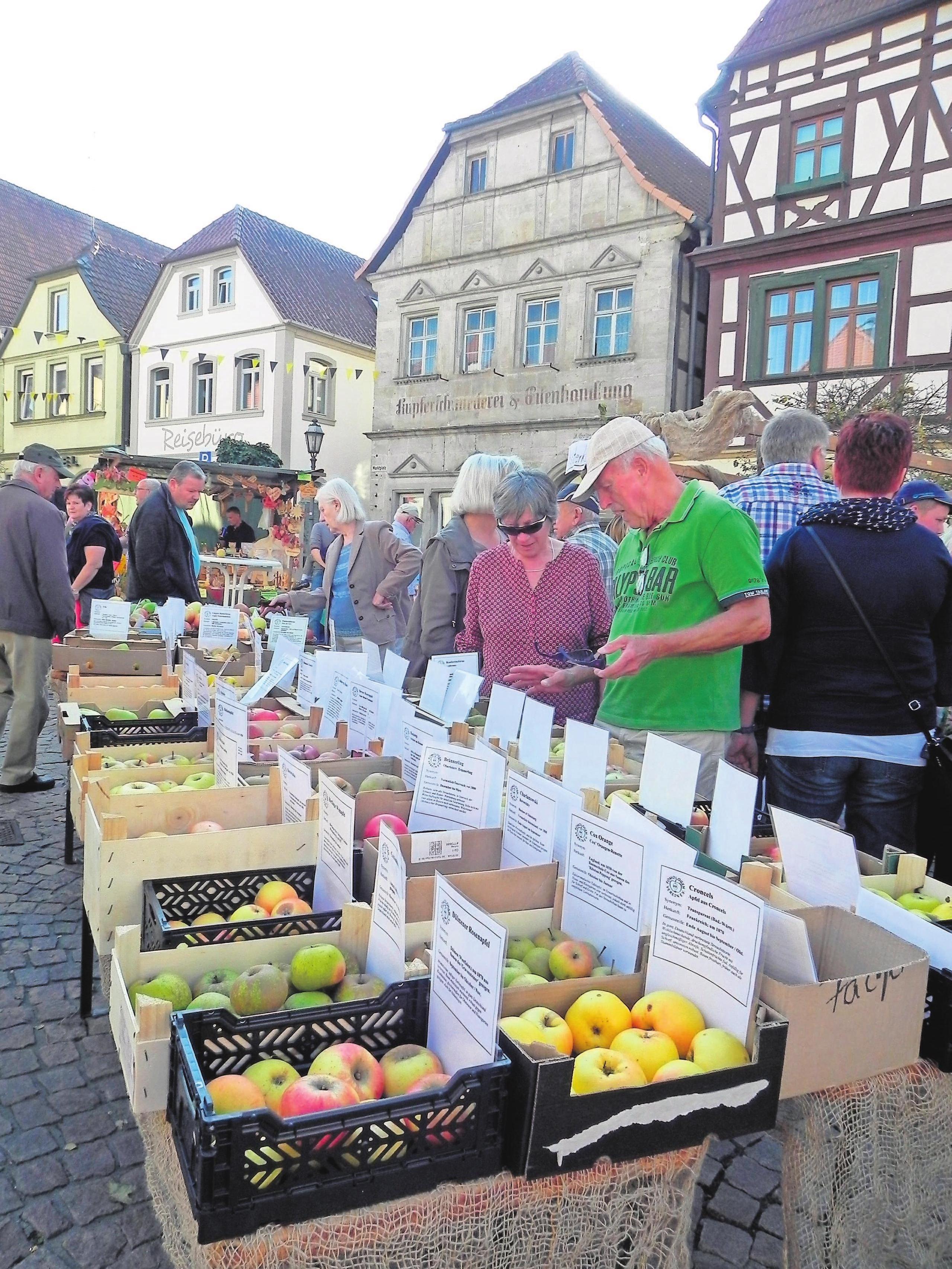 Kein Obst ist so beliebt wie der Apfel. Kein Obst ist so beliebt wie der Apfel.