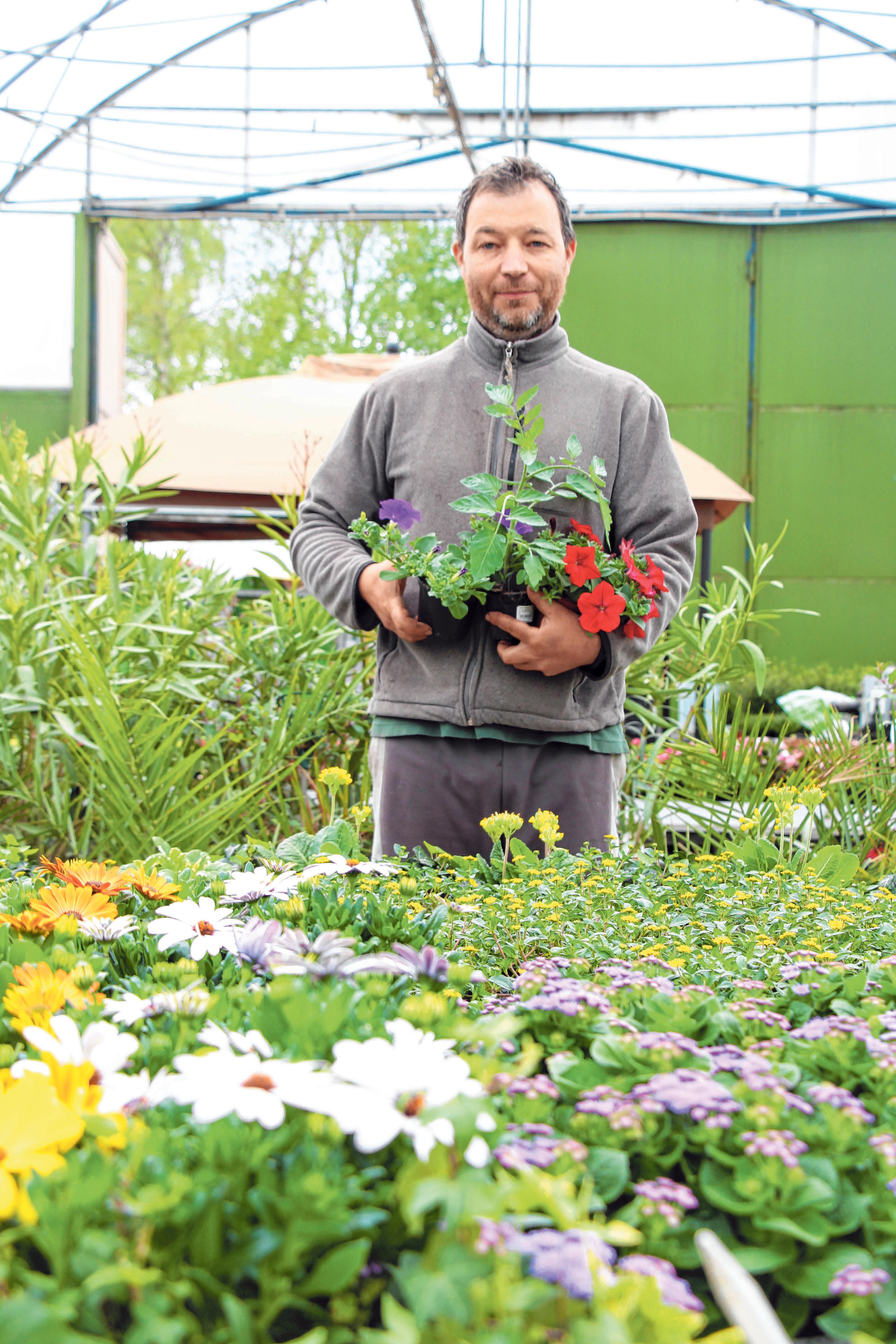 Christian Masetti bietet Gemüsesetzlinge und Blumen in großer Auswahl an. Foto: Schmidl Christian Masetti bietet Gemüsesetzlinge und Blumen in großer Auswahl an. Foto: Schmidl