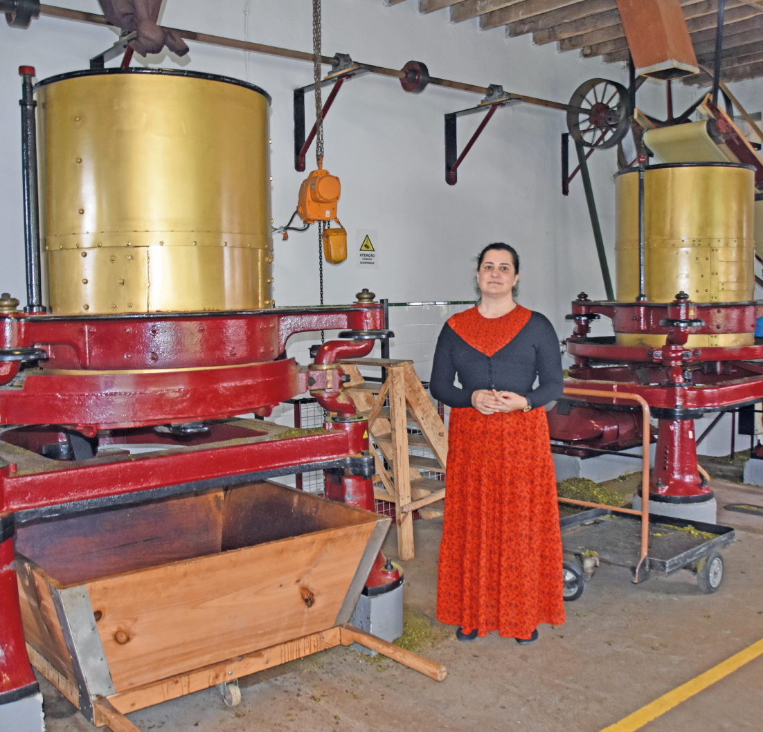 Madalena Motta leitet in fünfter Generation die Teeplantage „Chá de Gorreana“. BILD: UTE MÜLLER/DPA-TMN Madalena Motta leitet in fünfter Generation die Teeplantage „Chá de Gorreana“. BILD: UTE MÜLLER/DPA-TMN