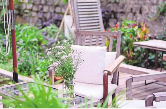 Um Garten und Terrasse im Sommer zu genießen, sollte jetzt mit den Planungen angefangen warden. Foto:Tanny Do/ Unsplash Um Garten und Terrasse im Sommer zu genießen, sollte jetzt mit den Planungen angefangen warden. Foto:Tanny Do/ Unsplash