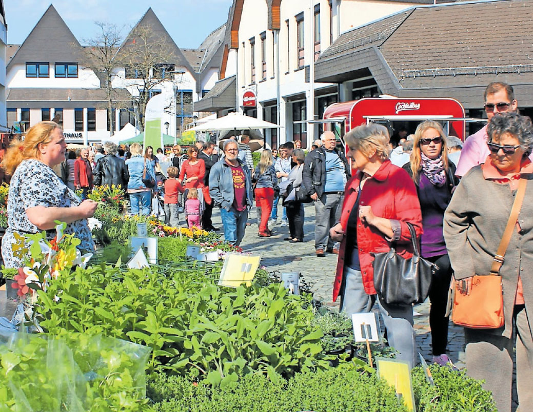 Neues Grün für Beet und Balkon: Am Frühlingsfest werden Blumen, Pflanzen und Kräuter angeboten. FOTO: MONIKA KLEIN Neues Grün für Beet und Balkon: Am Frühlingsfest werden Blumen, Pflanzen und Kräuter angeboten. FOTO: MONIKA KLEIN