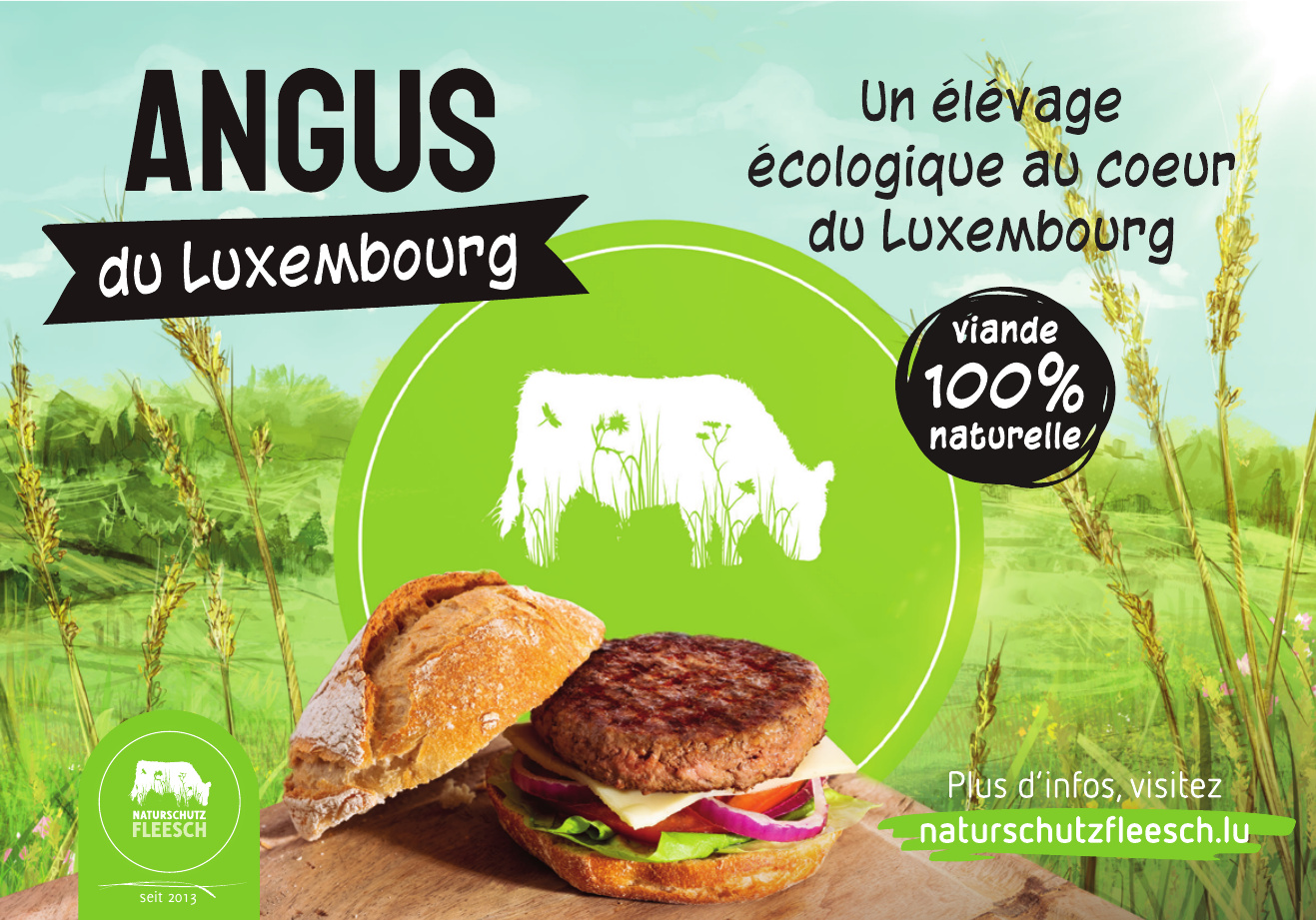 Angus du Luxembourg