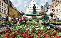Am 13. April 2019 wird in der Lutherstadt Eisleben wieder der Frühling mit vielen tollen Angeboten der Händler begrüßt. FOTO: LUKASCHEK Am 13. April 2019 wird in der Lutherstadt Eisleben wieder der Frühling mit vielen tollen Angeboten der Händler begrüßt. FOTO: LUKASCHEK