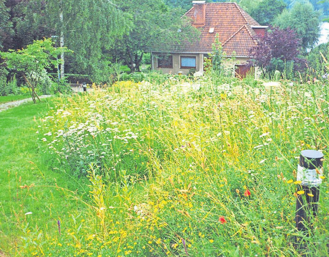 So könnte ein Gartenbereich aussehen: Links gepflegter Rasen, rechts eine Blumenwiese. Fotos: Eskildsen So könnte ein Gartenbereich aussehen: Links gepflegter Rasen, rechts eine Blumenwiese. Fotos: Eskildsen