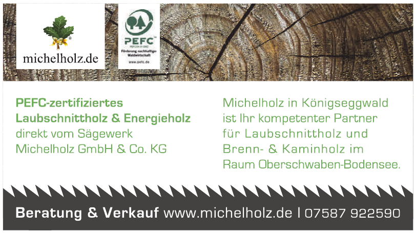 Intensivpflegedienst Lebenswert GmbH Michelholz GmbH & Co. KG