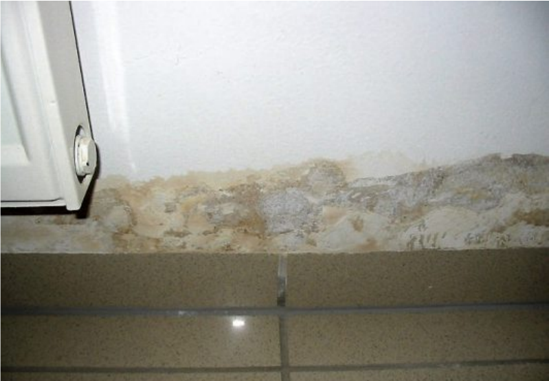 Ein Wasserschaden hat diesen Schimmelpilzbefall an der Wand verursacht. Wand und Estrich müssen deshalb komplett saniert werden. Bild: VPB/Institut peridomus Ein Wasserschaden hat diesen Schimmelpilzbefall an der Wand verursacht. Wand und Estrich müssen deshalb komplett saniert werden. Bild: VPB/Institut peridomus