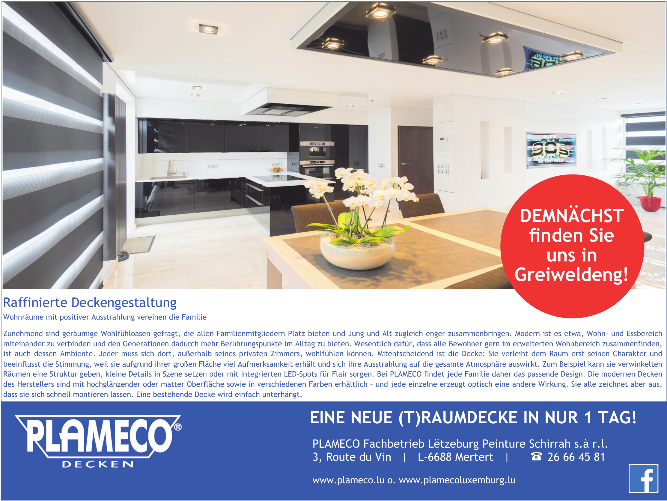 Plameco Decken - Alexander Schirrah Peinture s.àr.l.