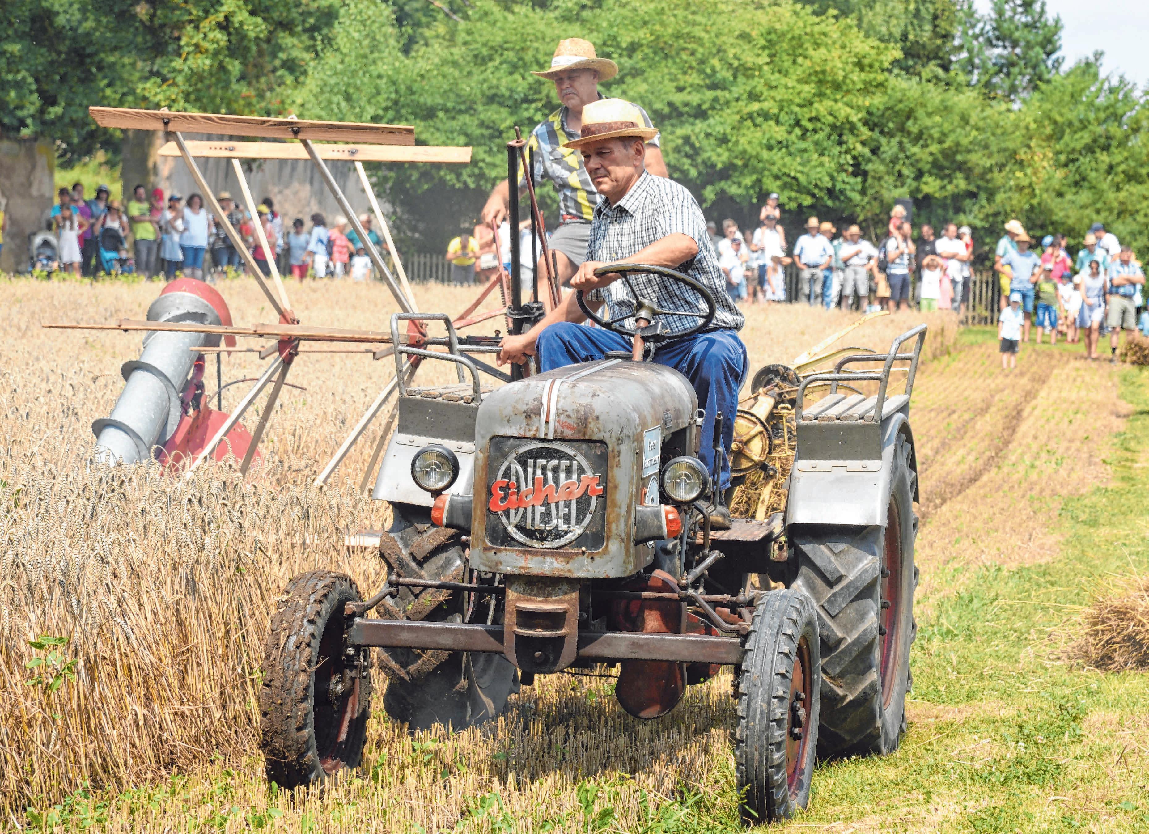 Das Museum in Maihingen gibt Auskunft darüber, wie die Menschen früher gelebt haben. FOTO: MUSEUM KULTURLAND RIES Das Museum in Maihingen gibt Auskunft darüber, wie die Menschen früher gelebt haben. FOTO: MUSEUM KULTURLAND RIES