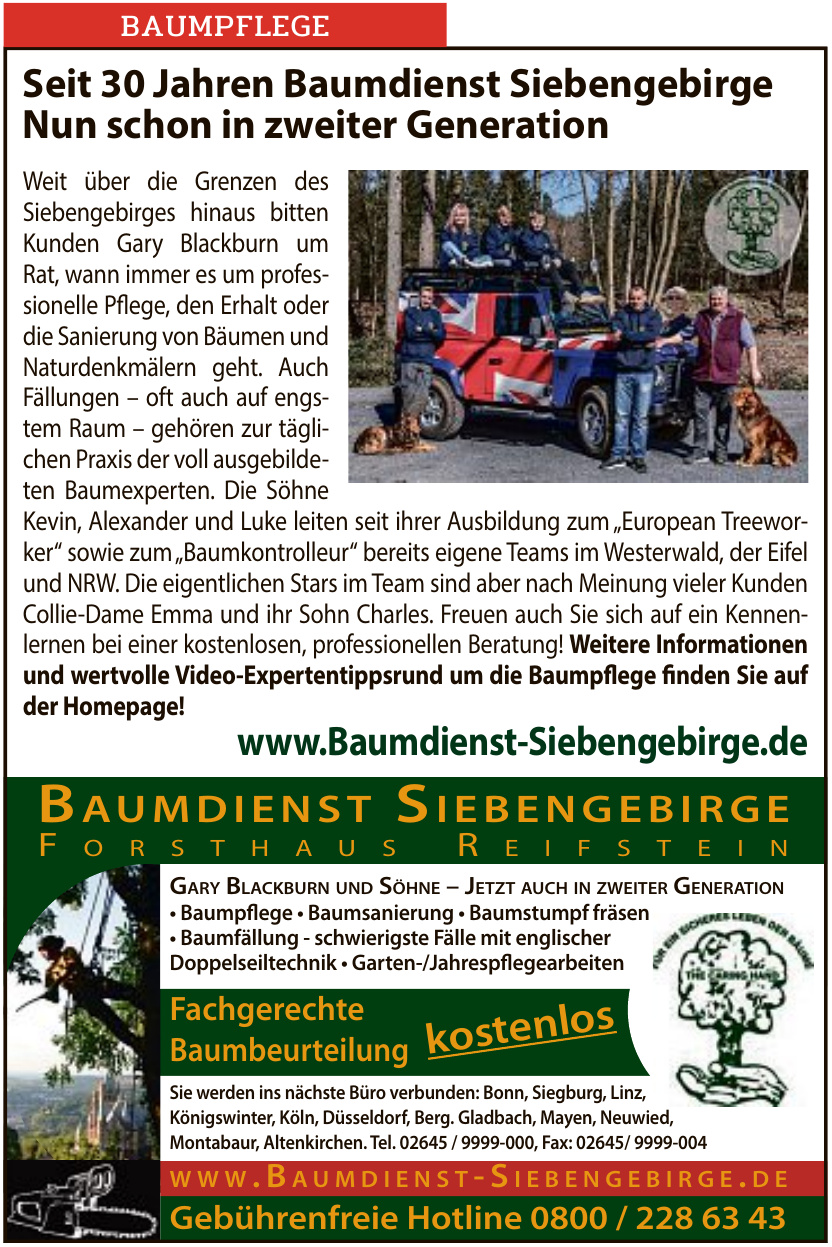 Baumdienst Siebengebirge Baumdienst Siebengebirge