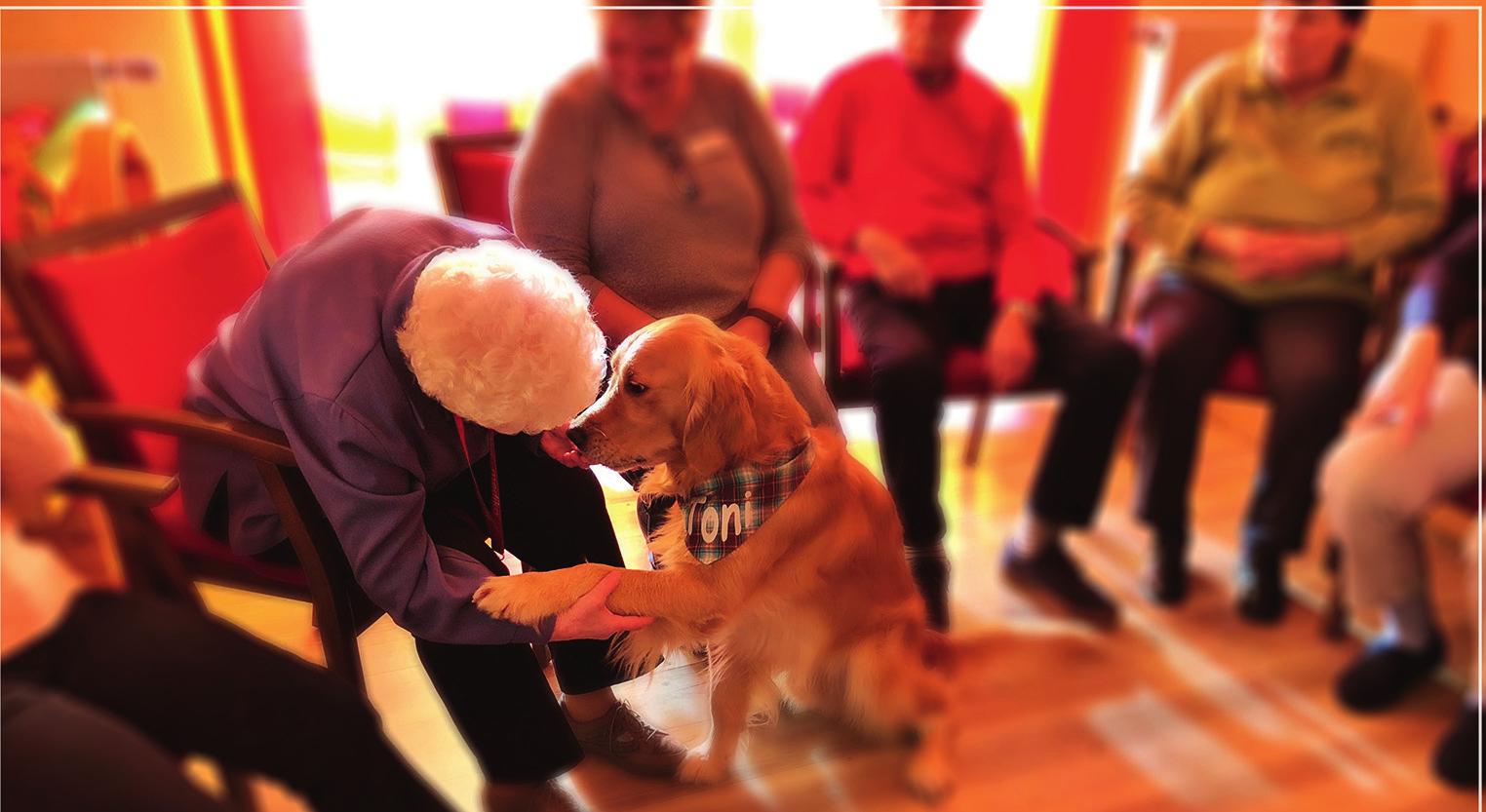 Toni ist ein ausgebildeter Therapiehund und beherrscht viele Dinge, die bei Besuchen und in therapeutischen Situationen helfen. Vor allem aber kann er eines: Mit unwiderstehlicher Freundlichkeit auf Menschen zugehen! Copyright@Peggy Poppen Toni ist ein ausgebildeter Therapiehund und beherrscht viele Dinge, die bei Besuchen und in therapeutischen Situationen helfen. Vor allem aber kann er eines: Mit unwiderstehlicher Freundlichkeit auf Menschen zugehen! Copyright@Peggy Poppen