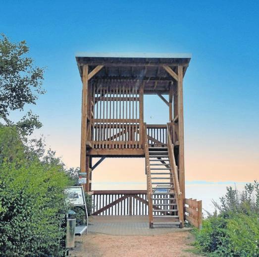 Die Aussichtsplattform am Olgahafen: Sie ermöglicht Besucherinnen und Besuchern ein aktives Beobachten und Erleben der Natur sowie der Tierwelt aus nächster Nähe zum angrenzenden Naturschutzgebiet. Foto: Meller