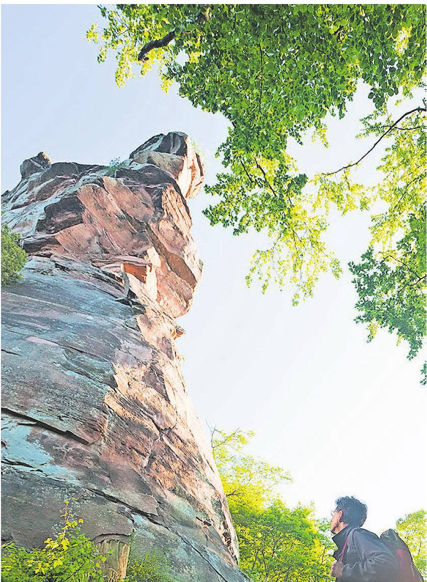 Im Pfälzerwald sind die Felsentürme aus Buntsandstein beliebte Ziele (unten rechts) und im Hunsrück zeigen die Ranger im Nationalpark den Besuchern einen Urwald von morgen (unten). Fotos: Dominik Ketz/Dominik Ketz für Merian/ Rheinland-Pfalz Tourismus GmbH Im Pfälzerwald sind die Felsentürme aus Buntsandstein beliebte Ziele (unten rechts) und im Hunsrück zeigen die Ranger im Nationalpark den Besuchern einen Urwald von morgen (unten). Fotos: Dominik Ketz/Dominik Ketz für Merian/ Rheinland-Pfalz Tourismus GmbH