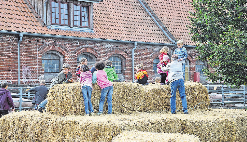 Während der Landpartie können Kinder und Erwachsene den Ökohof Kuhhorst erleben. FOTO: KATJA STEIN/MOSAIK Während der Landpartie können Kinder und Erwachsene den Ökohof Kuhhorst erleben. FOTO: KATJA STEIN/MOSAIK