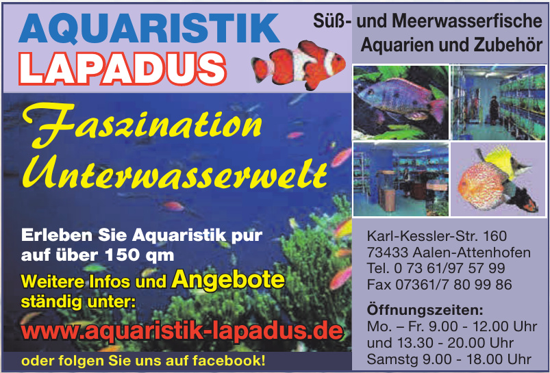 Aquaristik Lapadus