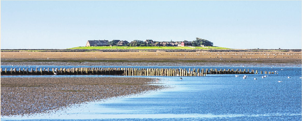 Die Hallig Oland im Nationalpark Schleswig-Holsteinisches Wattenmeer ist Ziel von Wattwanderungen. FOTO: CARLOS ARIAS ENCISO, TMN Die Hallig Oland im Nationalpark Schleswig-Holsteinisches Wattenmeer ist Ziel von Wattwanderungen. FOTO: CARLOS ARIAS ENCISO, TMN