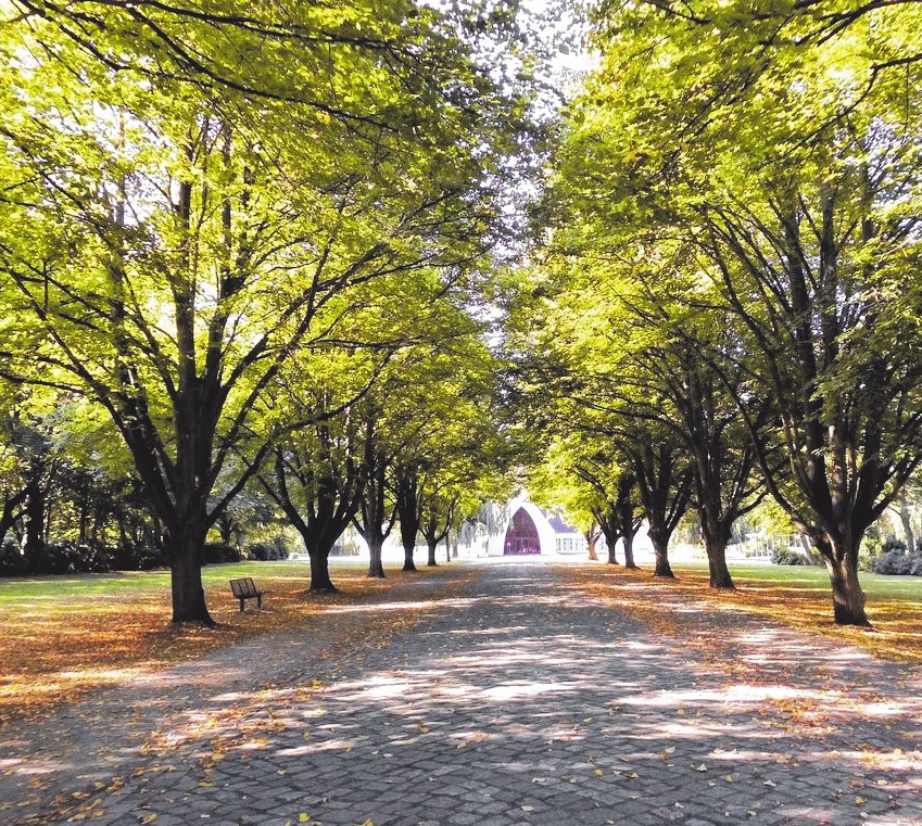 Auf dem Weg zur Feierhalle auf dem Zentralfriedhof in Stralsund. Dort findet am 25. November um 10.30 Uhr in der Feierhalle auf dem Zentralfriedhof in Stralsund die Feierstunde zum Totensonntag. Foto: Archiv Auf dem Weg zur Feierhalle auf dem Zentralfriedhof in Stralsund. Dort findet am 25. November um 10.30 Uhr in der Feierhalle auf dem Zentralfriedhof in Stralsund die Feierstunde zum Totensonntag. Foto: Archiv