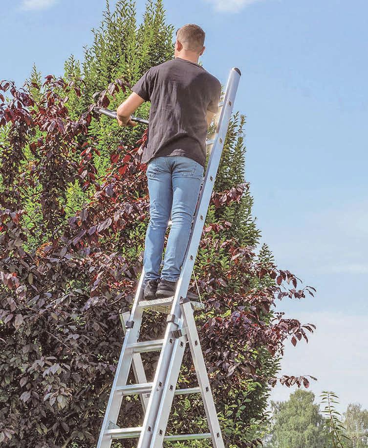 Mit einer Profi-Leiter aus dem Fachhandel sind Hobbygärtner auf der sicheren Seite. Foto: djd/Günzburger Steigtechnik Mit einer Profi-Leiter aus dem Fachhandel sind Hobbygärtner auf der sicheren Seite. Foto: djd/Günzburger Steigtechnik
