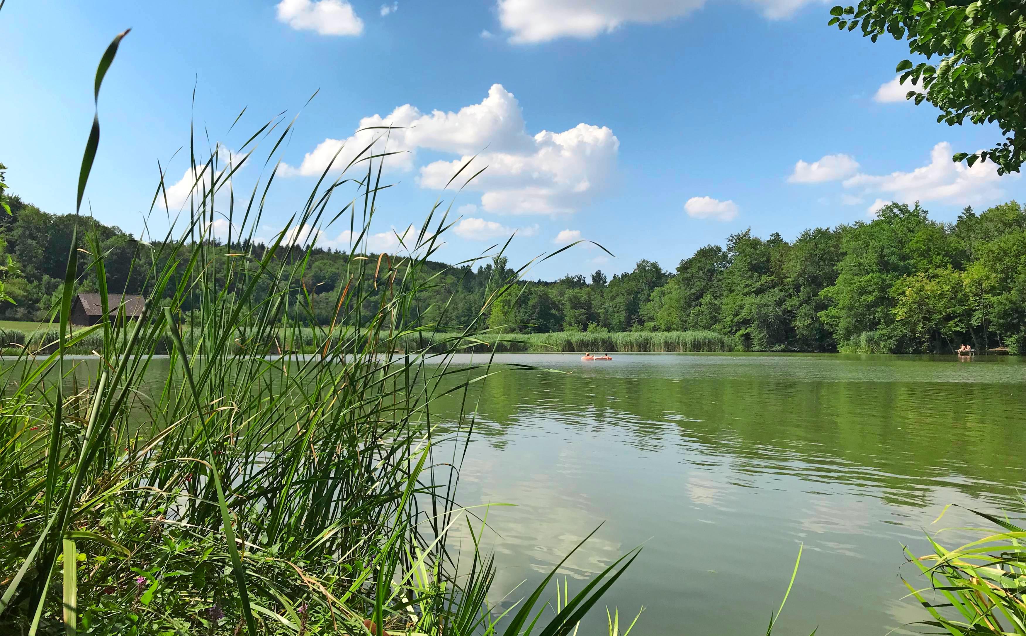 Naturidylle im Hohenloher Land: Am Neumühlsee gibt es einen Campingplatz mit gutbürgerlicher Gastronomie. Foto: Archiv/Tscherwitschke Naturidylle im Hohenloher Land: Am Neumühlsee gibt es einen Campingplatz mit gutbürgerlicher Gastronomie. Foto: Archiv/Tscherwitschke