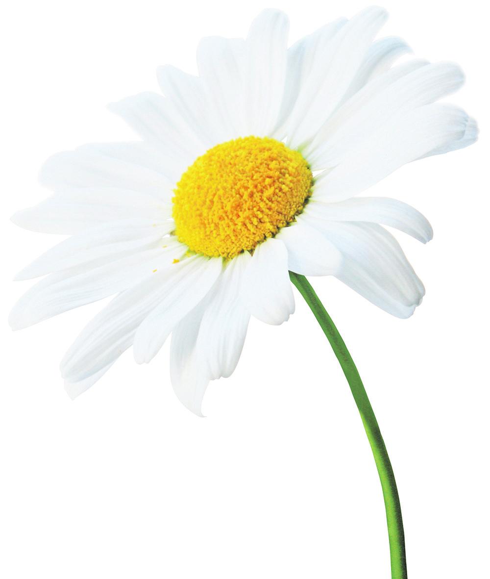 Foto: Thaut Images - stock.adobe Foto: Thaut Images - stock.adobe