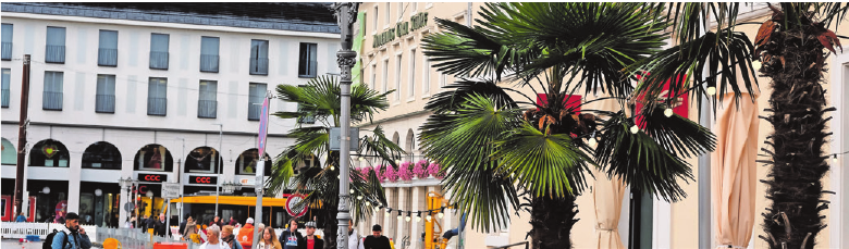 Vom Marktplatz aus geht es in die Kaiserstraße mit all ihren Seitenstraßen. Foto: tkn Vom Marktplatz aus geht es in die Kaiserstraße mit all ihren Seitenstraßen. Foto: tkn