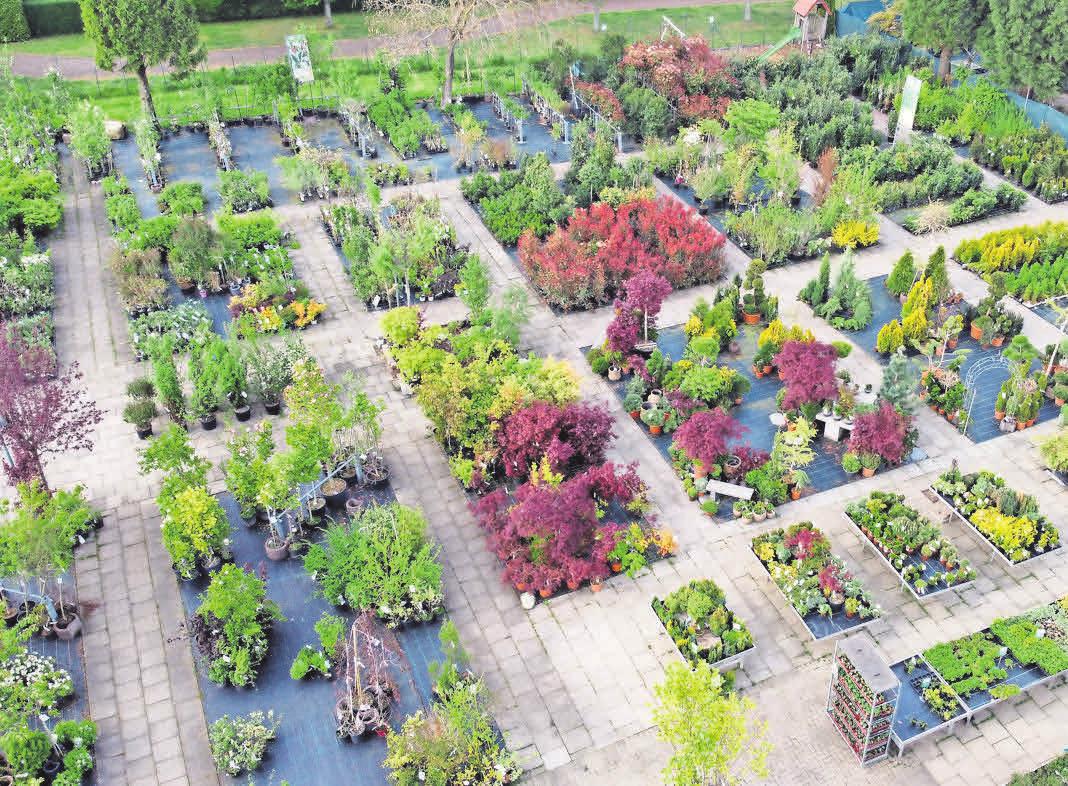 Das Freigelände im Gartencenter Klipphahn lädt zum Stöbern ein. Das Freigelände im Gartencenter Klipphahn lädt zum Stöbern ein.
