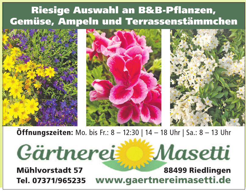 Gärtnerei Masetti Gärtnerei Masetti