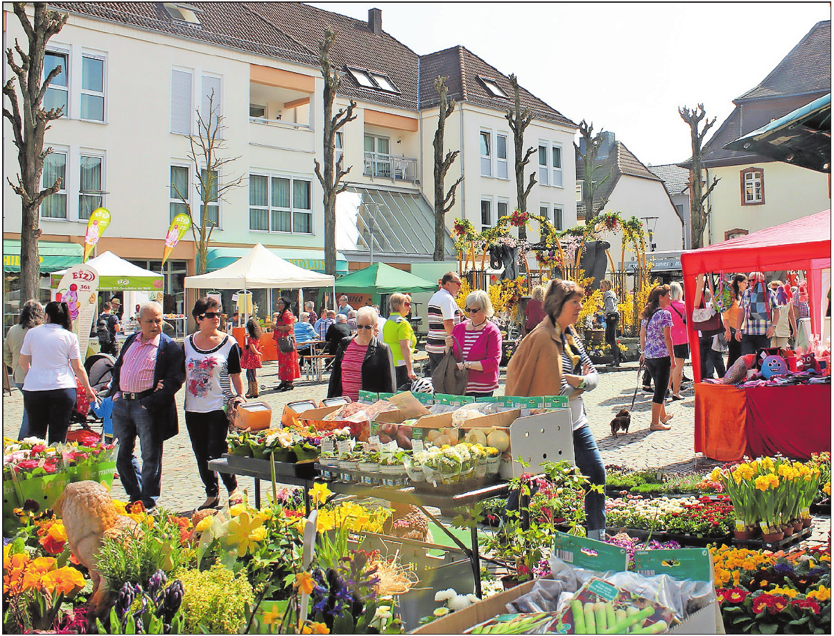 Bunte Vielfalt rund um den Marktbrunnen Bunte Vielfalt rund um den Marktbrunnen