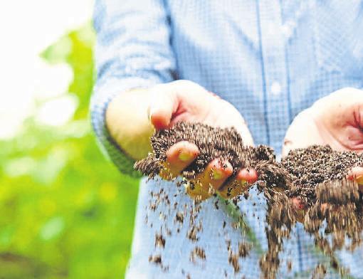 Mit den passenden Produkten lassen sich Sand, Humus, Nährstoffe und natürliche Bodenorganismen in nur einem Arbeitsgang ausbringen. Foto: djd/Floragard Vertriebs-GmbH Mit den passenden Produkten lassen sich Sand, Humus, Nährstoffe und natürliche Bodenorganismen in nur einem Arbeitsgang ausbringen. Foto: djd/Floragard Vertriebs-GmbH