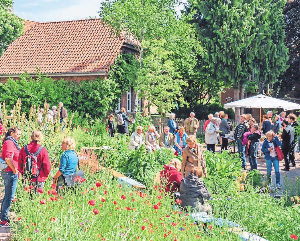 Der Allegorische Garten zieht viele Besucher an. Der Allegorische Garten zieht viele Besucher an.