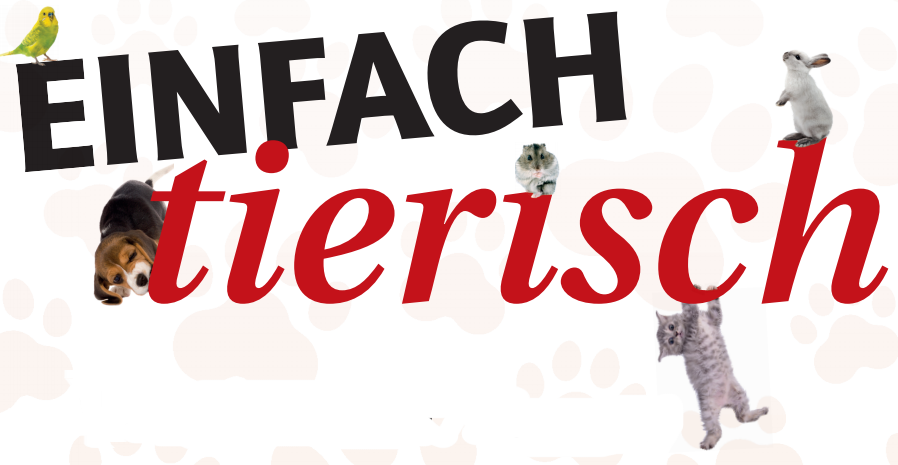 Nicht alle mögen’s heiß Image 1