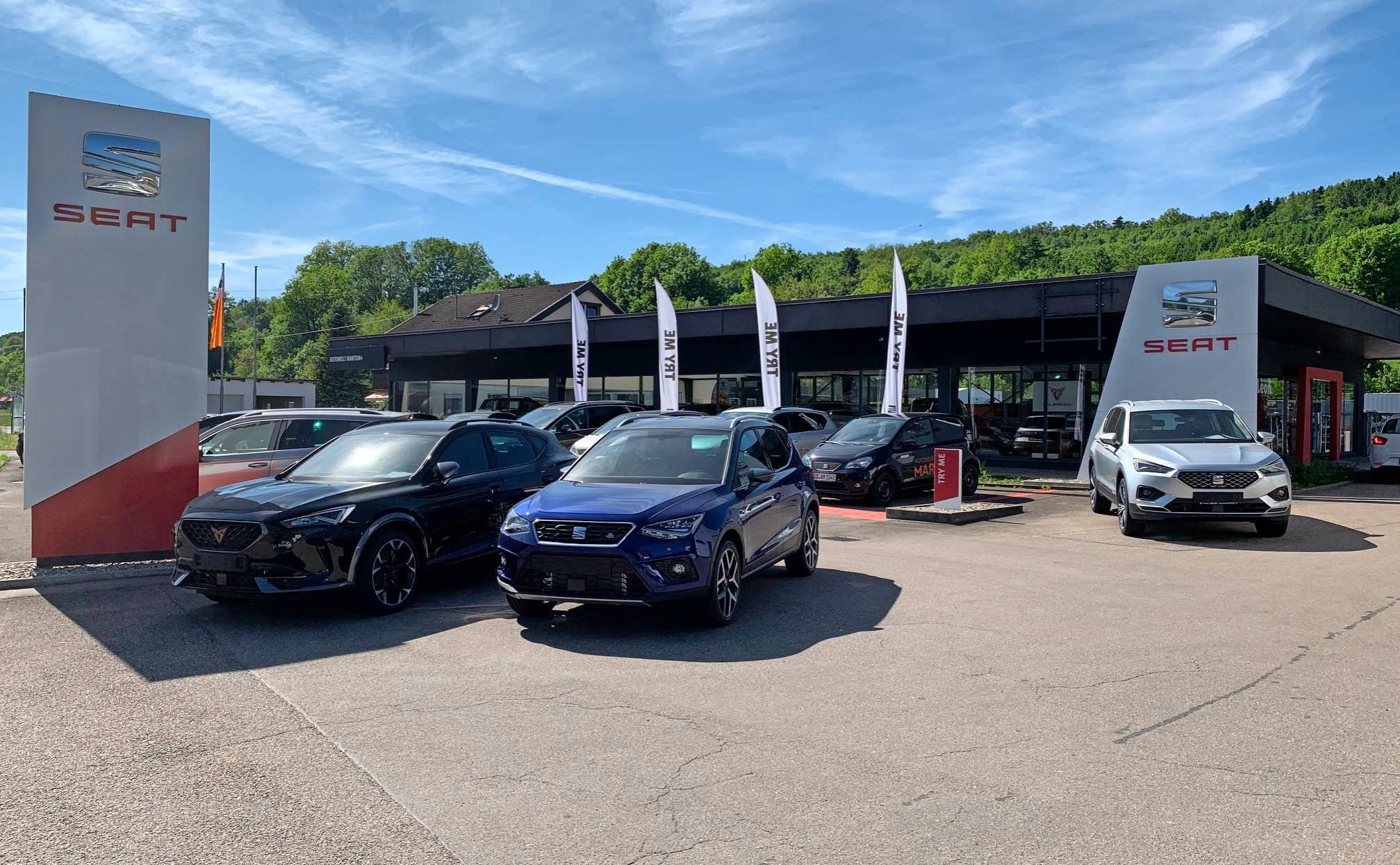 Autozentrum Hagelauer Gmbh & Co Kg Südstraße Heilbronn Autozentrum Hagelauer Heilbronn: Elektroautos & Werkstatt
