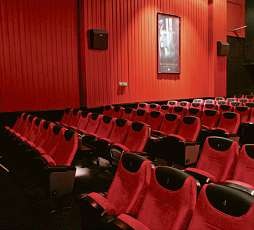 Schöner sitzen: Im Kino 2 wurden in diesem Jahr neue flauschige Polster eingebaut