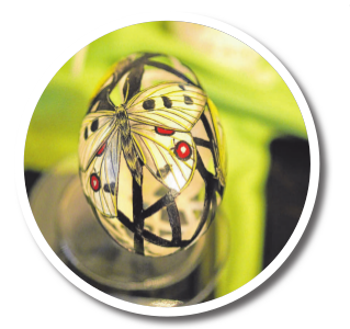 Sogar kleine Schmetterlinge lassen sich auf die Eier zaubern. FOTO: MACHWITZ Sogar kleine Schmetterlinge lassen sich auf die Eier zaubern. FOTO: MACHWITZ