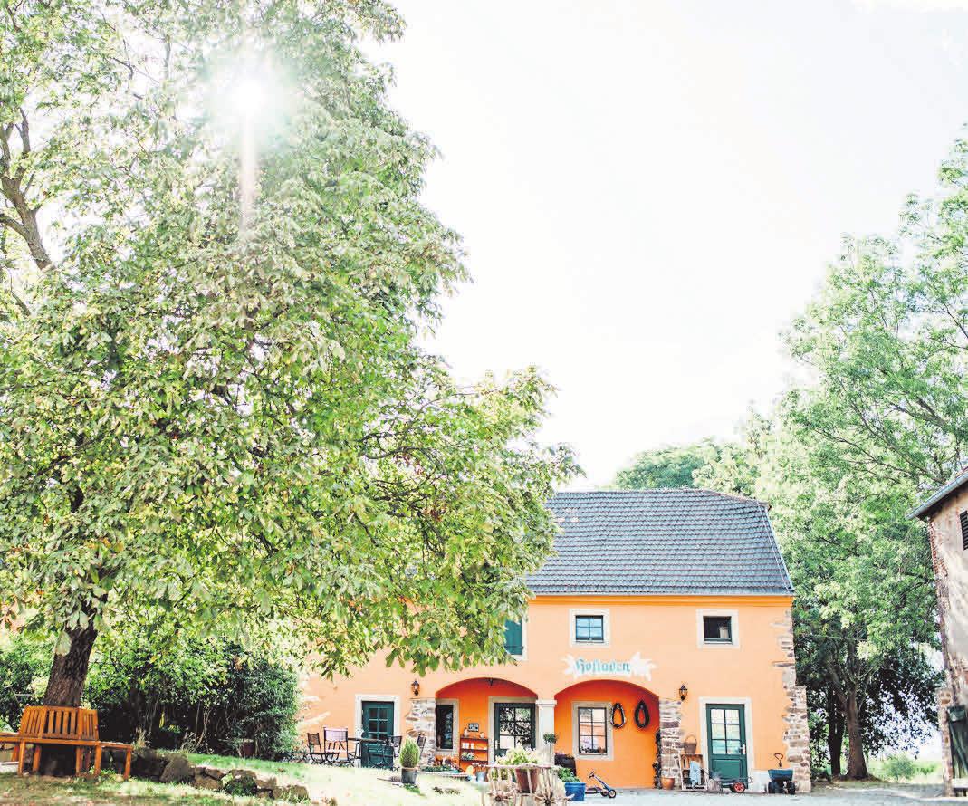 ZUM DEUTSCHEN MÜHLENTAG am Pfingstmontag veranstaltet das Gut Gadewitz einen Hoftag. Foto: Gut Gadewitz ZUM DEUTSCHEN MÜHLENTAG am Pfingstmontag veranstaltet das Gut Gadewitz einen Hoftag. Foto: Gut Gadewitz