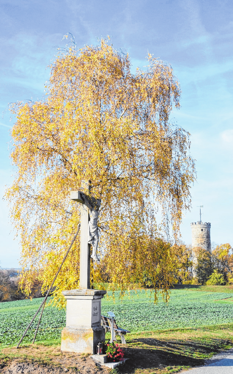 Steinernes Wegekreuz bei Eltmann. FOTO: E. REITWIESNER Steinernes Wegekreuz bei Eltmann. FOTO: E. REITWIESNER